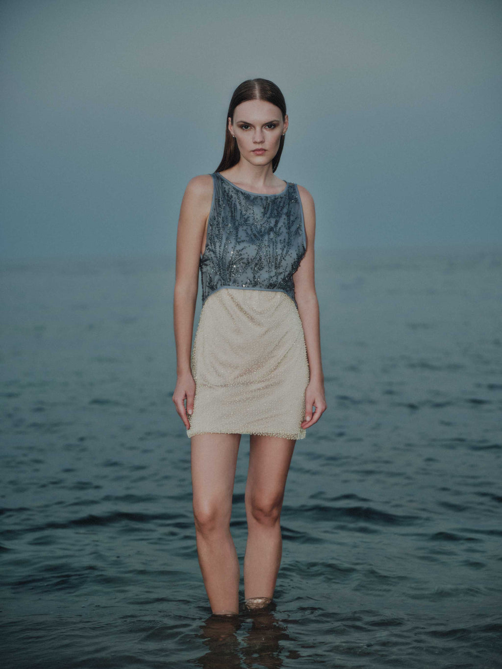 Embroidered Mini Dress