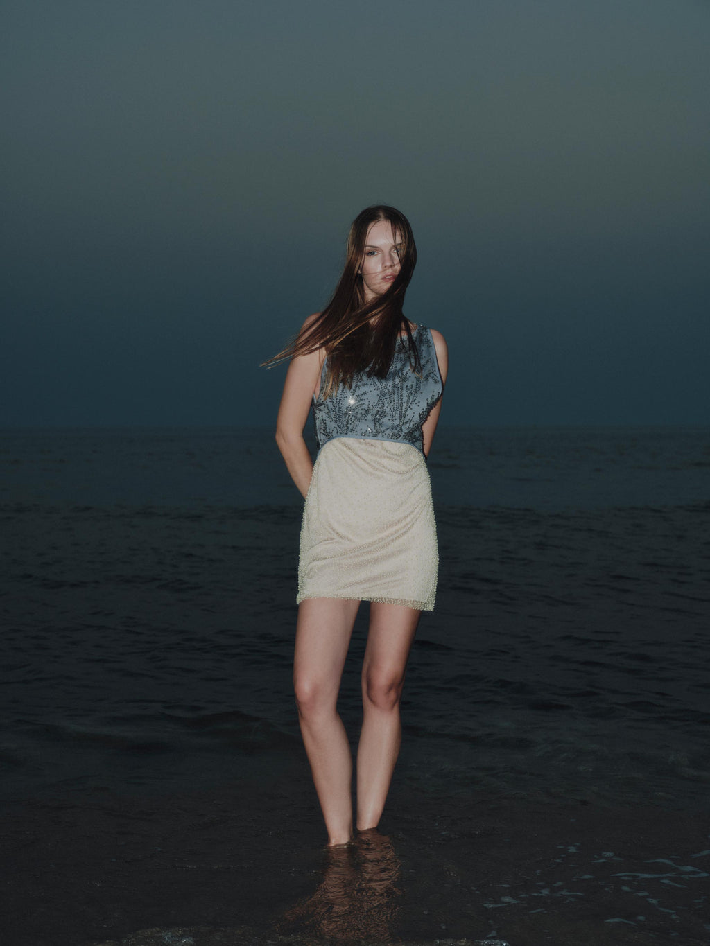 Embroidered Mini Dress