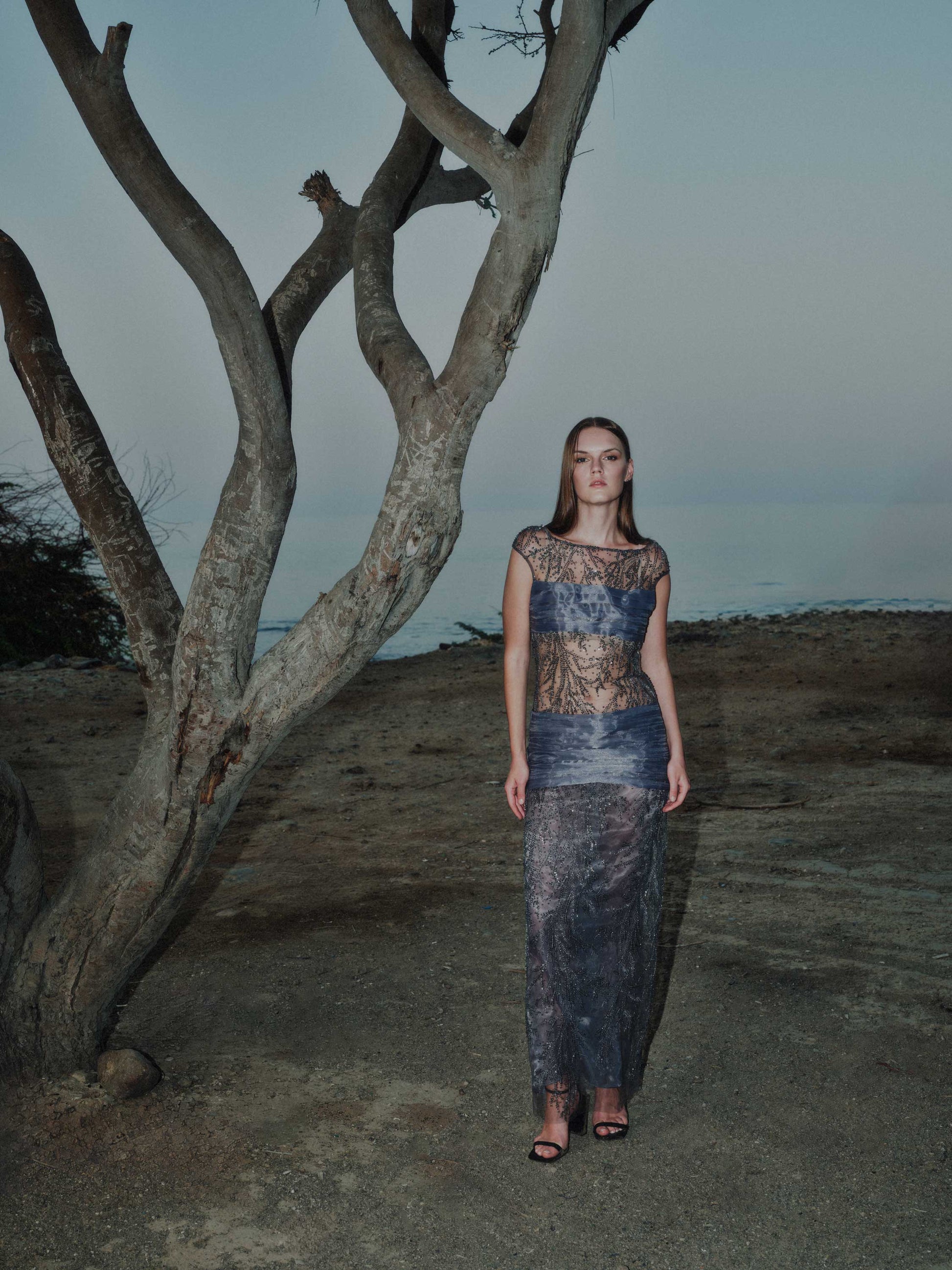 Embroidered Tulle Dress with Organza Pleats