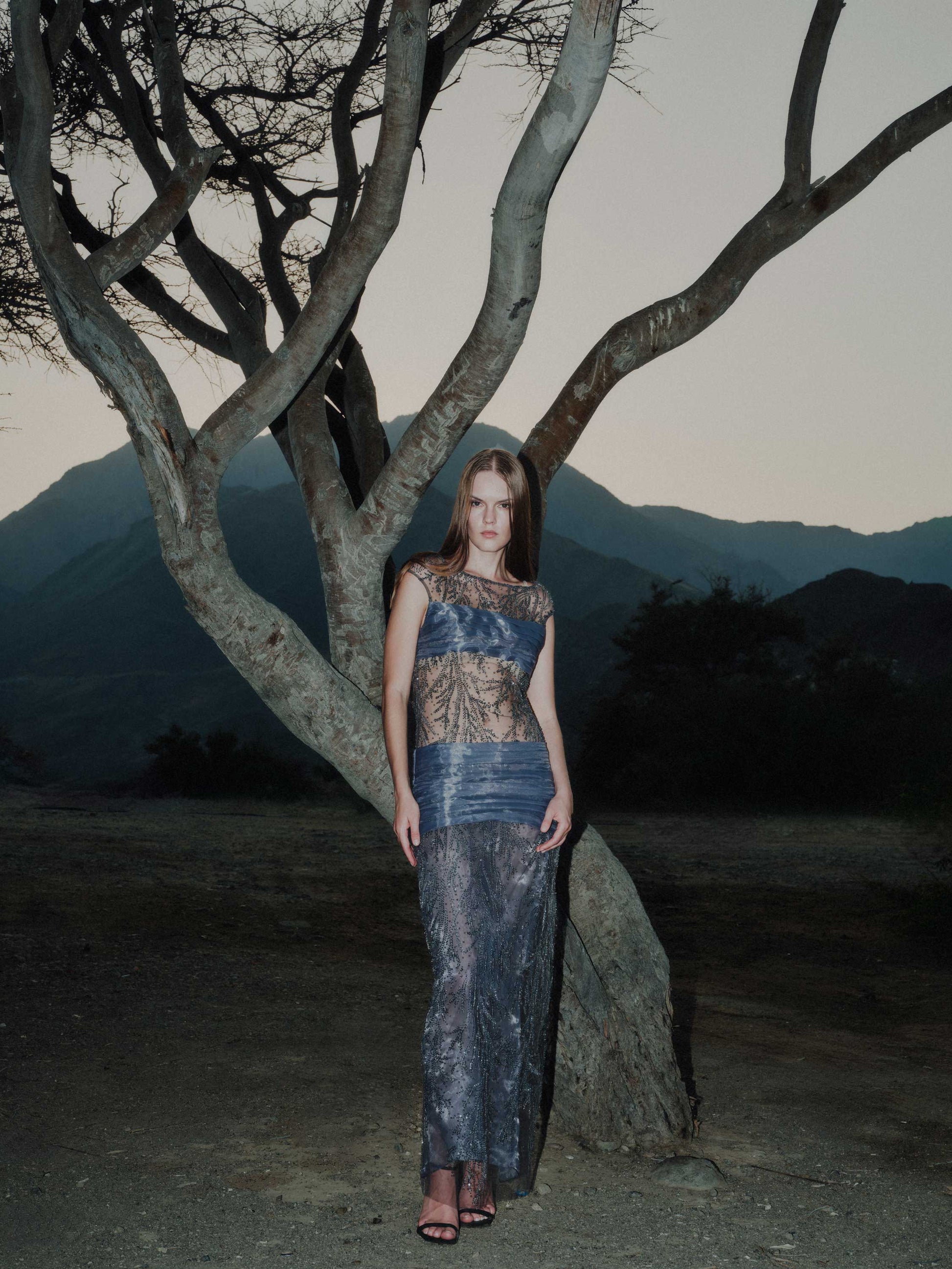 Embroidered Tulle Dress with Organza Pleats