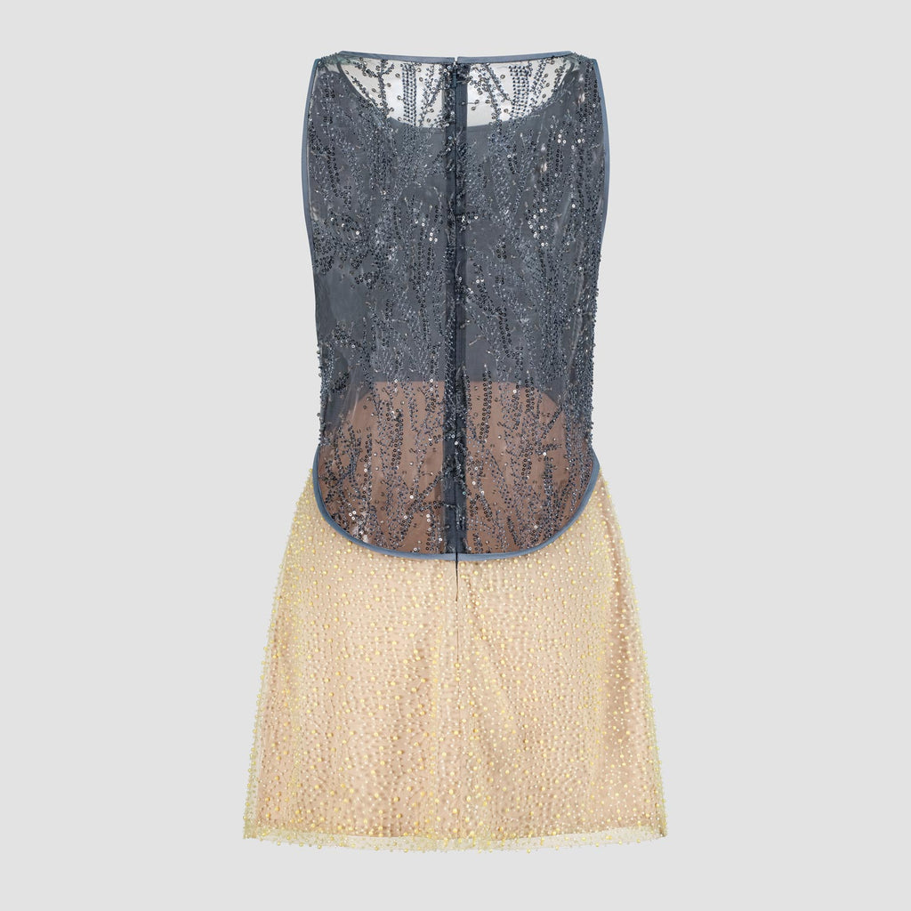 Embroidered Mini Dress