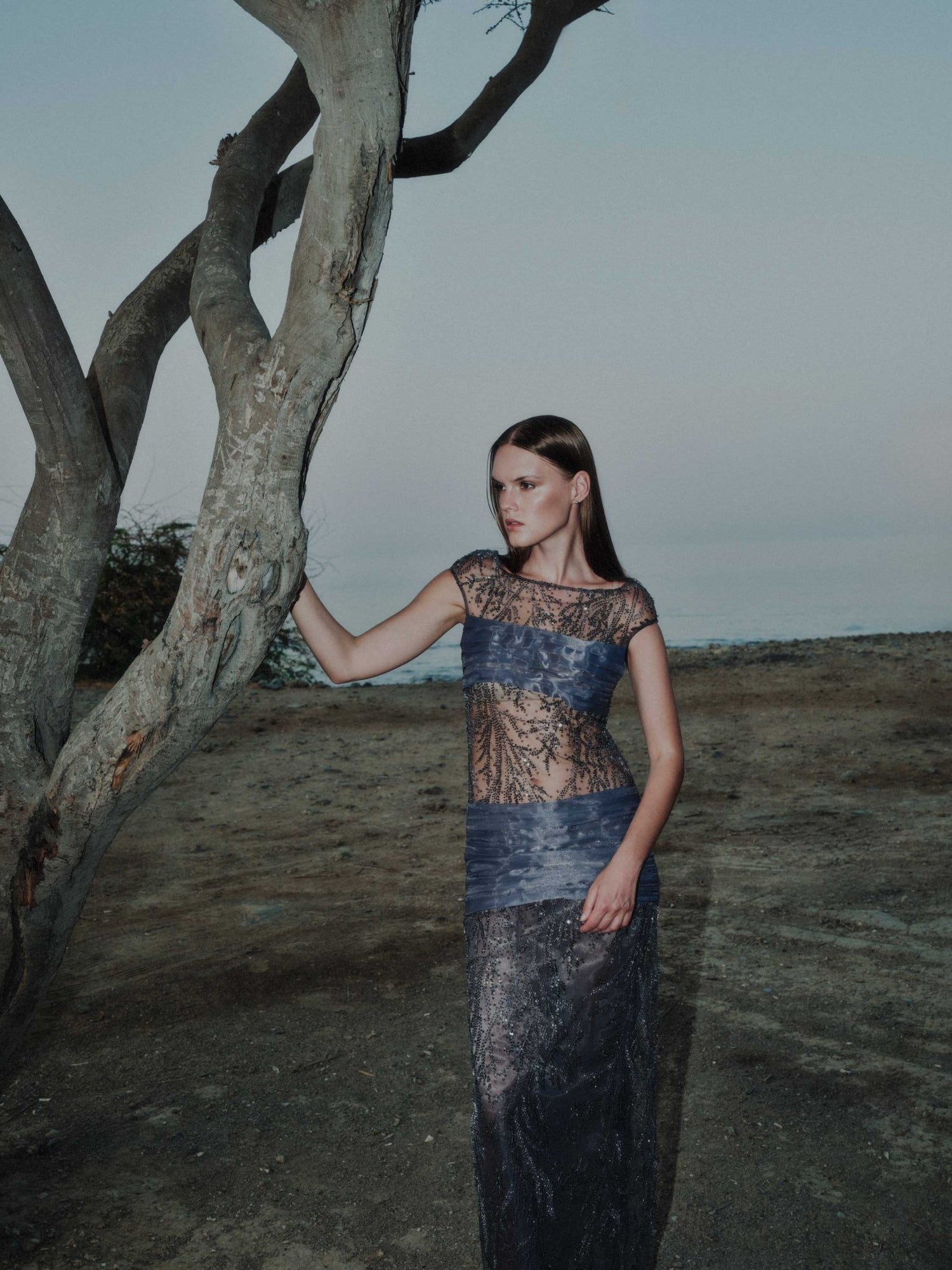 Model wearing sheer embroidered tulle evening gown – Muse Gown by ALOUD