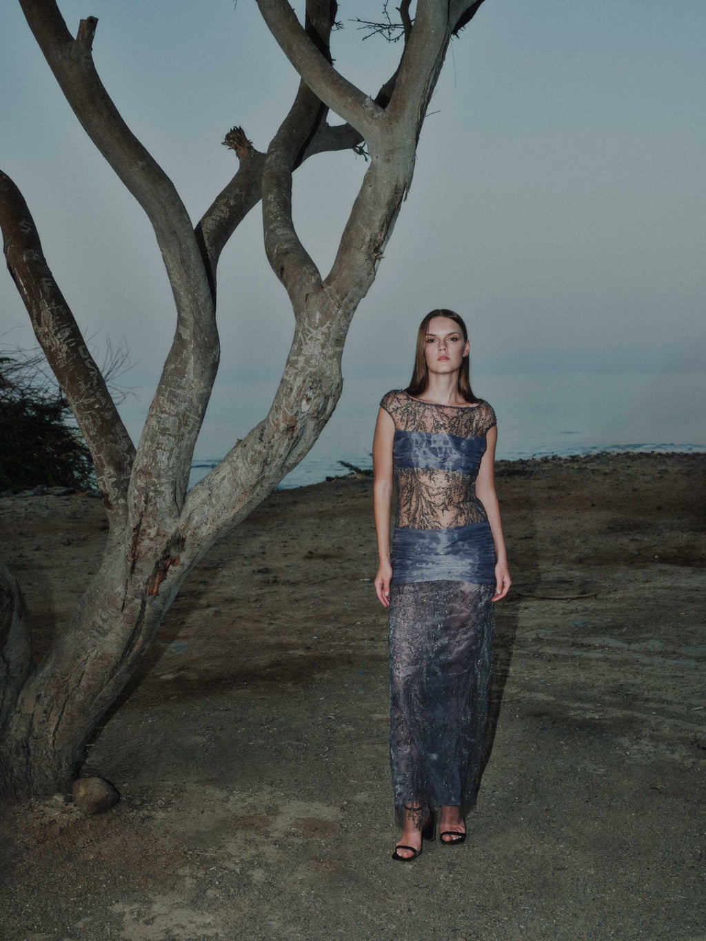 Embroidered-Tulle-Dress-with-Organza-Pleats1